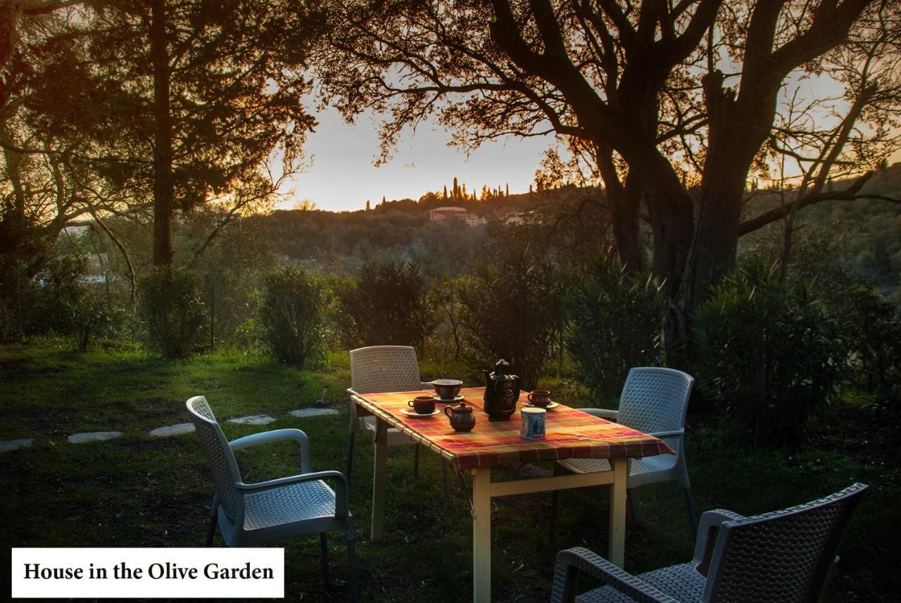 Apartamento House In The Olive Garden Ágios Ioánnis Exterior foto